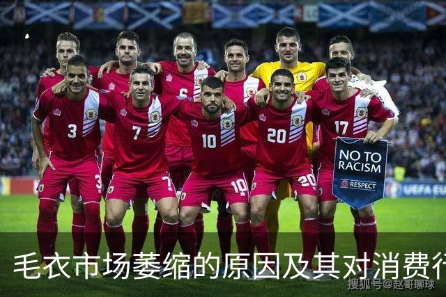毛衣市场萎缩的原因及其对消费行为的影响